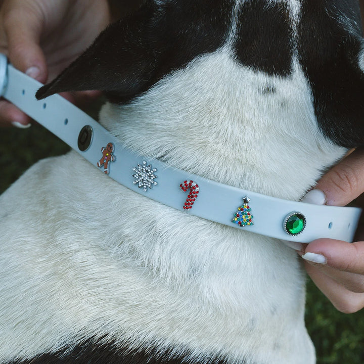 Customizable Waterproof Dog Collars with Charms - Wearing Felicity Build-Your-Dog-Collar-02