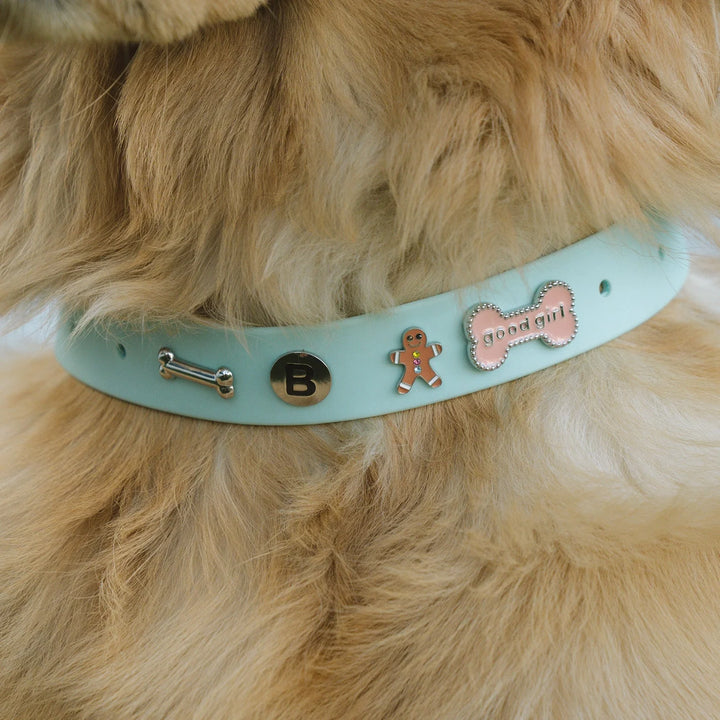 Customizable Waterproof Dog Collars with Charms - Wearing Felicity Build-Your-Dog-Collar-04