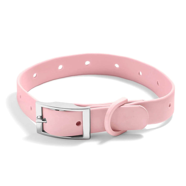 Customizable Waterproof Dog Collars with Charms - Wearing Felicity Build-Your-Dog-Collar-Blush