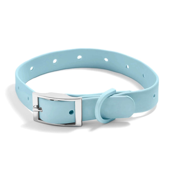 Customizable Waterproof Dog Collars with Charms - Wearing Felicity Build-Your-Dog-Collar-Icy-Blue