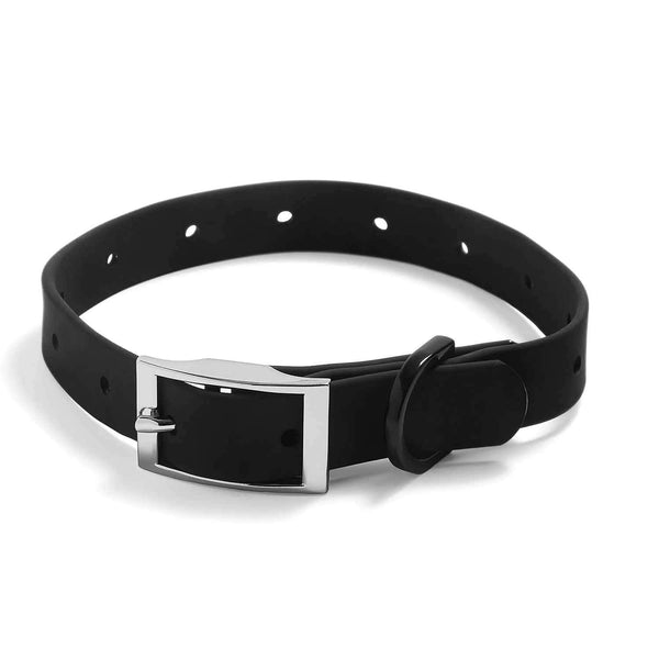 Stylish & Waterproof Silicone Dog Collars for Pets - Wearing Felicity Dog-Collar-Black