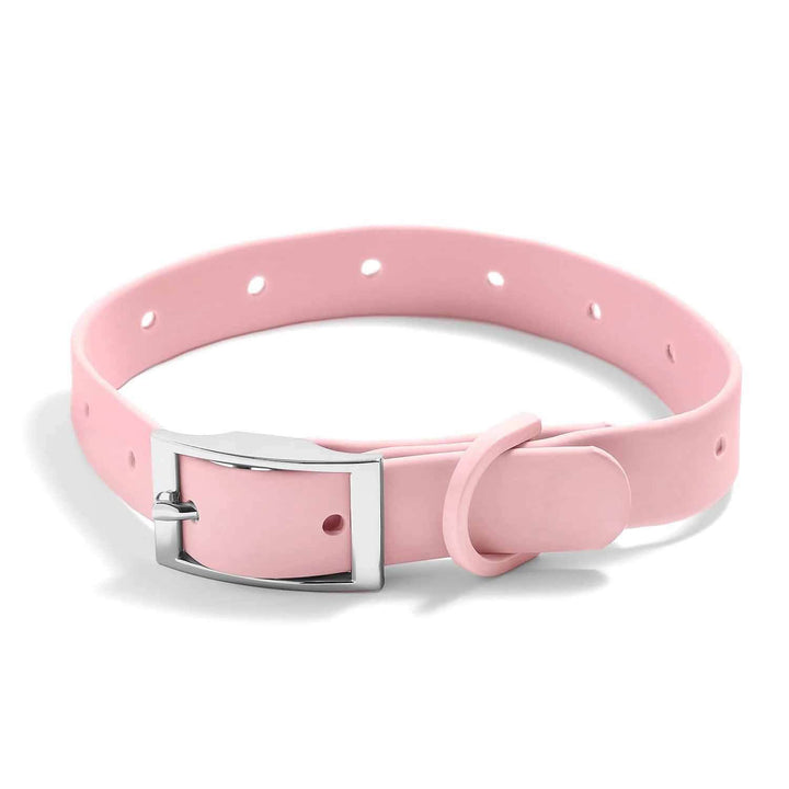 Stylish & Waterproof Silicone Dog Collars for Pets - Wearing Felicity Dog-Collar-Blush