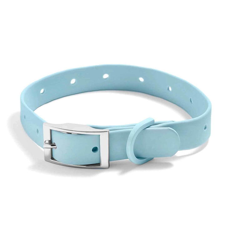 Stylish & Waterproof Silicone Dog Collars for Pets - Wearing Felicity Dog-Collar-Icy-Blue