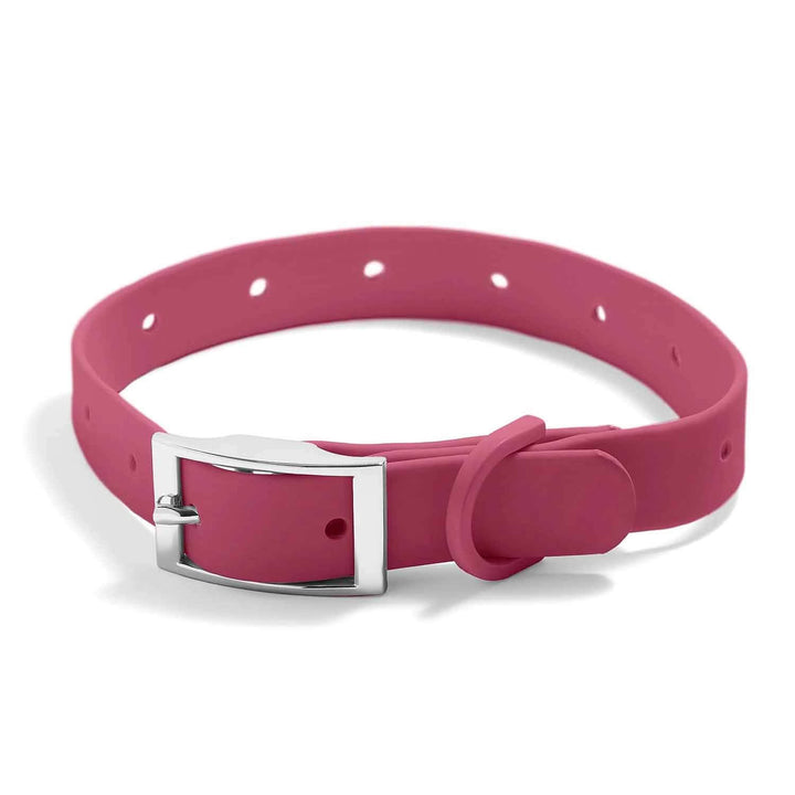 Stylish & Waterproof Silicone Dog Collars for Pets - Wearing Felicity Dog-Collar-Maroon